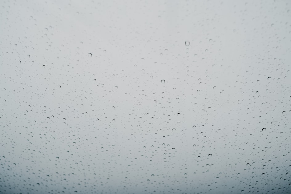 Rainnetworks.net Overview